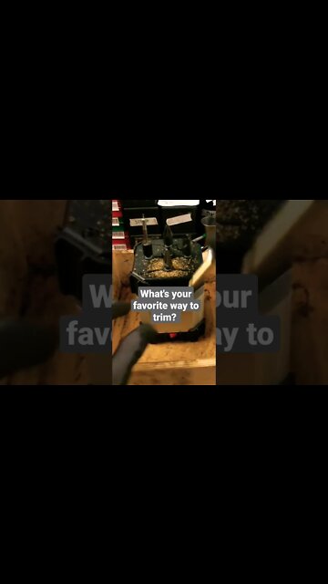 What's Your Favorite Way To Trim?