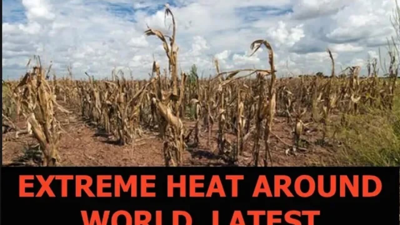 22,000 People Hospitalized with Heat Stroke, Extreme Weather Around the World, Latest