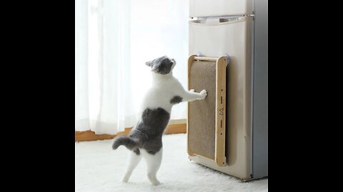 Suction Cup Corrugated Cat Scratching Board Solid Wood Vertical Grinding Claw