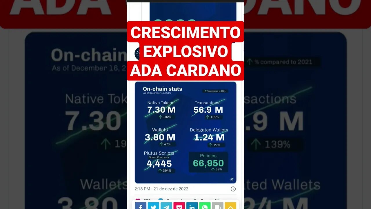 CARDANO SURPREENDE COM DADOS DE CRESCIMENTO BLOCKCHAIM