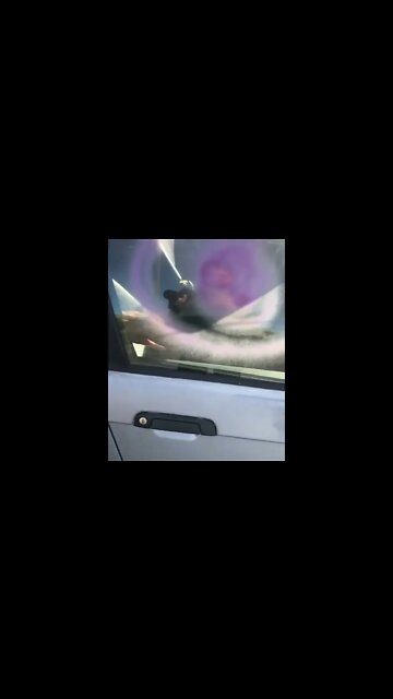 If you ever forget your keys #shorts #cars #funny