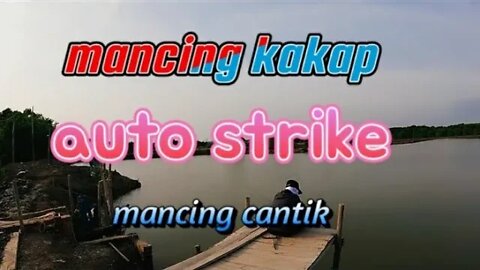 mancing kakap di tepi danau || @mancingcantik01