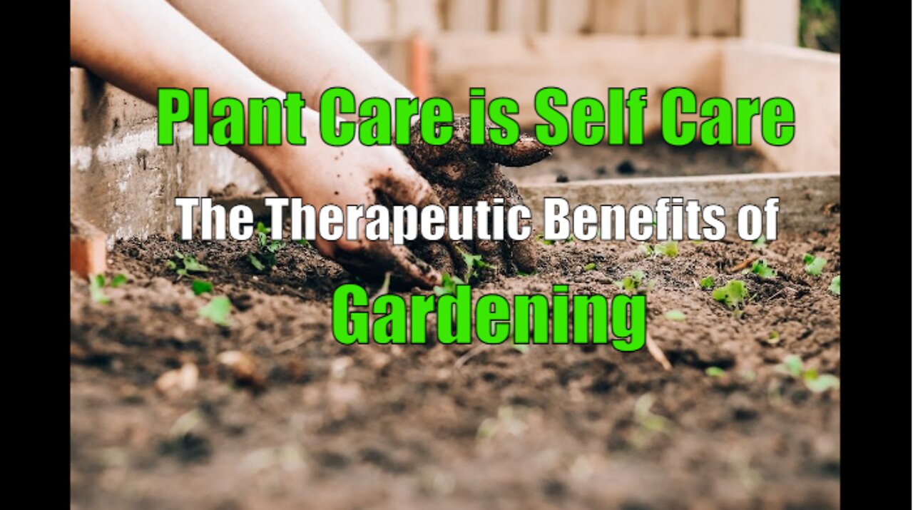 Plant Care Is Self Care: Therapeutic Benefits of Gardening