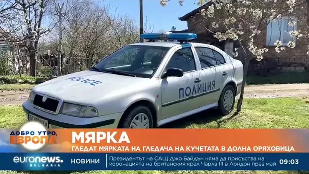 Гледат мярката на гледача на кучета в Долна Оряховица