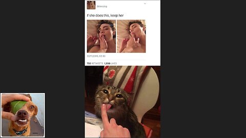 Memes That Will 99.867% Make You Laugh. (e92)