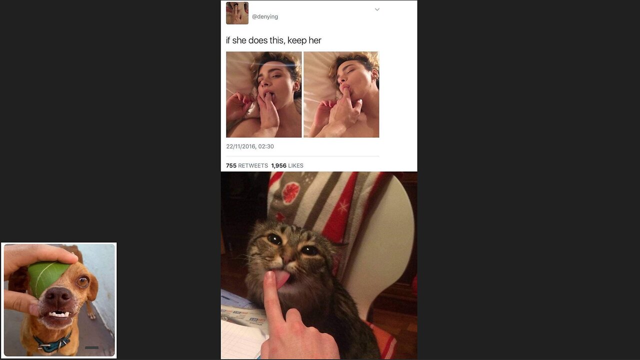 Memes That Will 99.867% Make You Laugh. (e92)