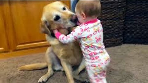 "Canine Comedy Central: When Dogs and Kids Collide in Laughter!