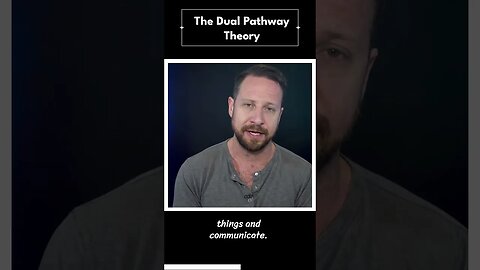 The dual pathway theory might explain how our emotions can override logic in stressful situations