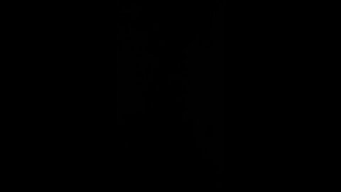 How To pronounce testimonial