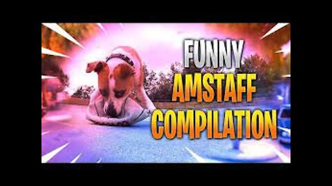 Super and funny video compilation