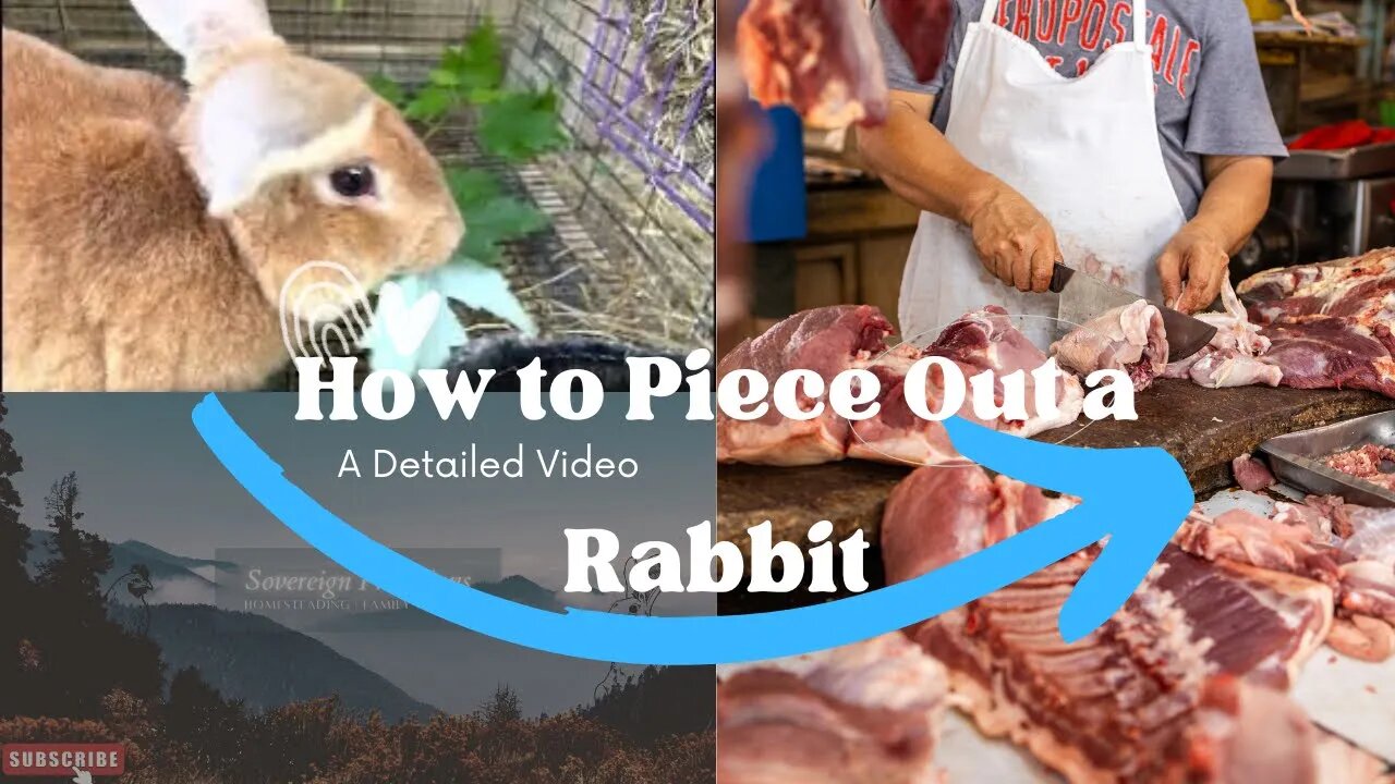 How to Cut Up a Rabbit | Sovereign Provisions Homestead