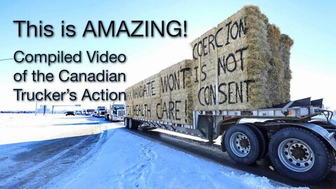 THIS IS AMAZING! Compiled Footage of the Canadian Truckers' Action