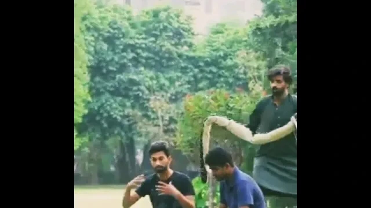 Fake Snake Prank | Amuku dumuku amal dumal song | #shorts #youtubeshorts #short