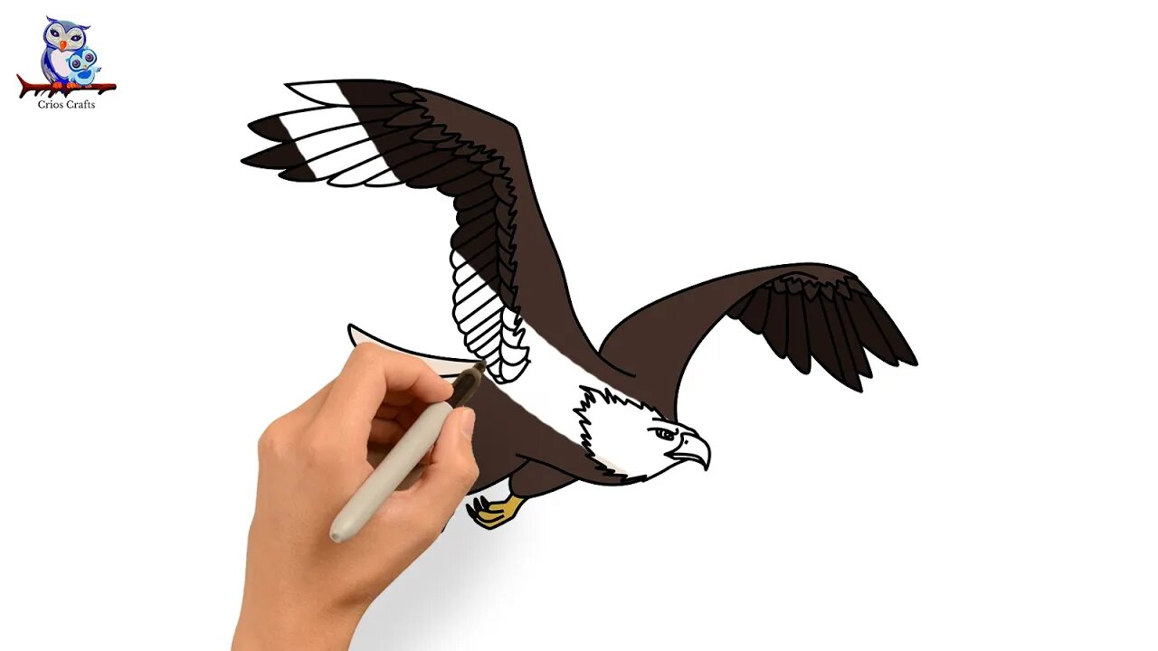 How to Draw an Eagle - Art Tutorial