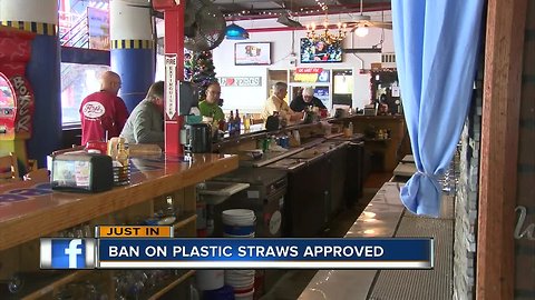 St. Pete City Council votes to ban plastic straws