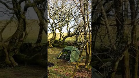 Spending time in the tent.wildcamping. timelapse. Dartmoor 25th March 2023