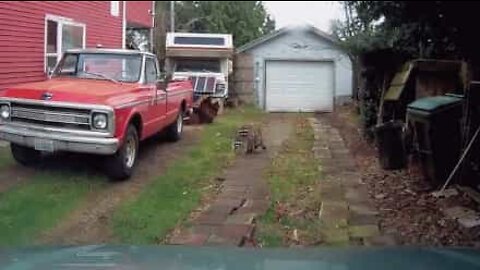 交尾しているところを目撃されたアライグマ...見られたって続行！