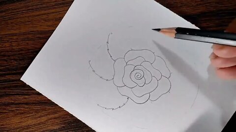 How to draw a Rose step by step