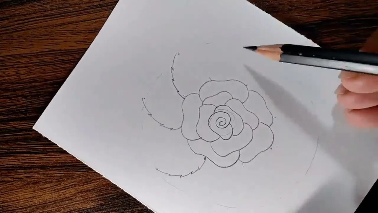 How to draw a Rose step by step