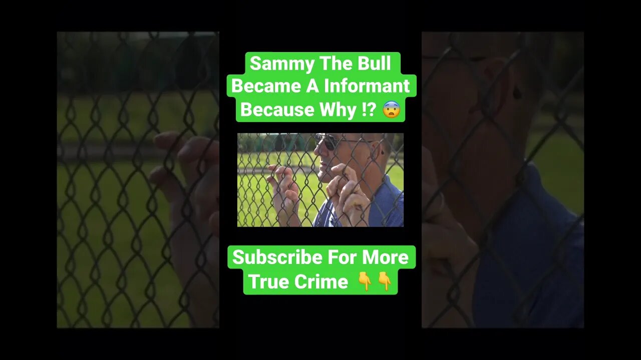 Sammy The Bull Became A Informant Because Why !? 😨 #sammythebull #johngotti #michaelfranzese