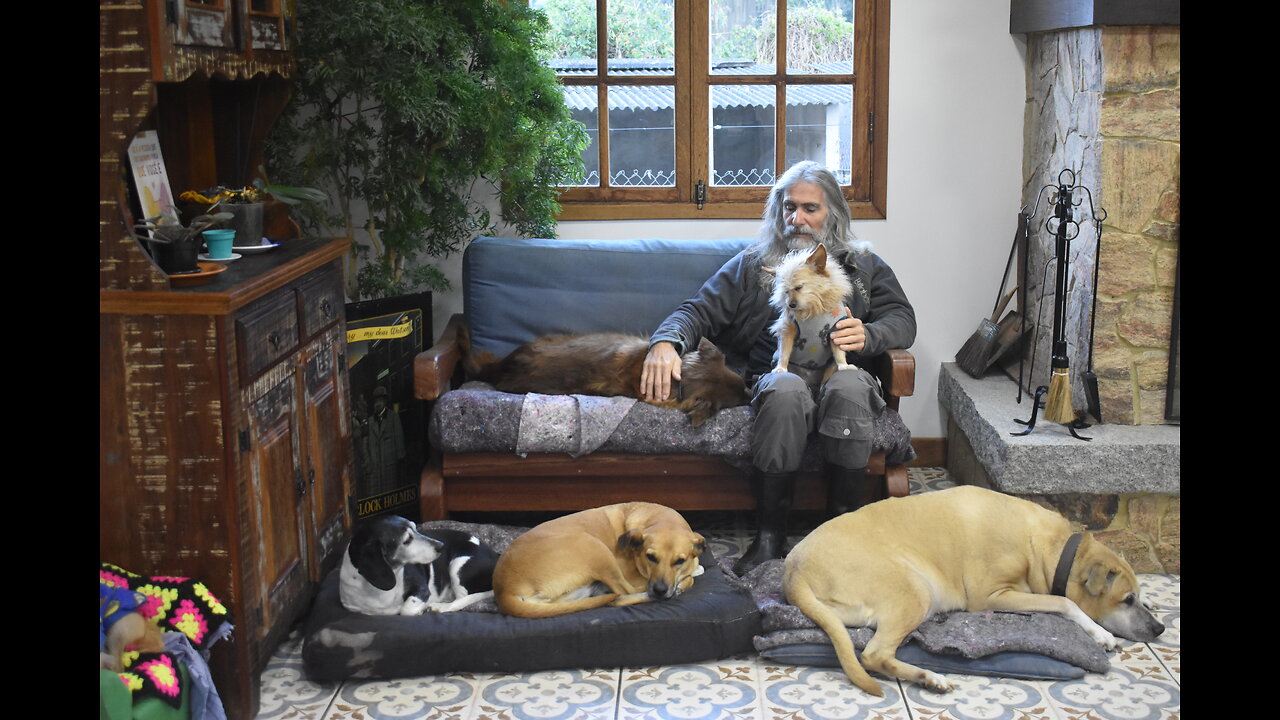 Dogs in Brazil Documentary