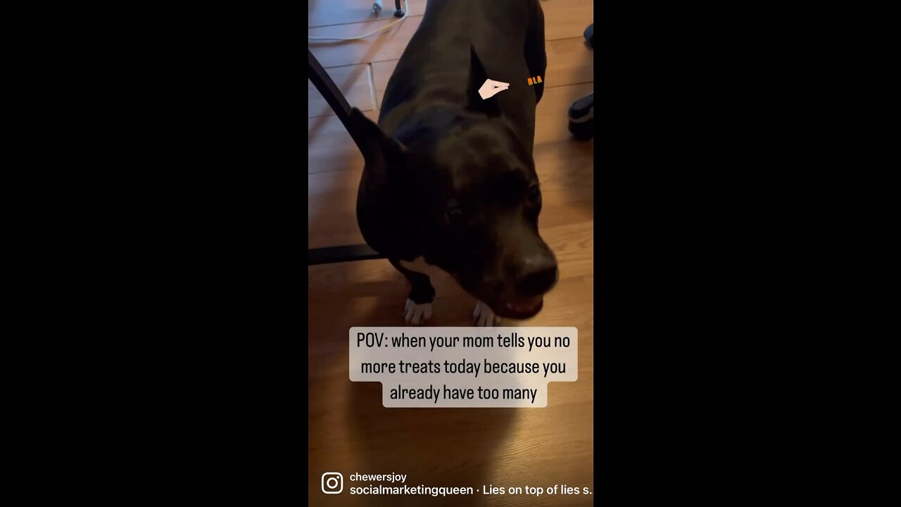 Never enough treats ππΎππΎ