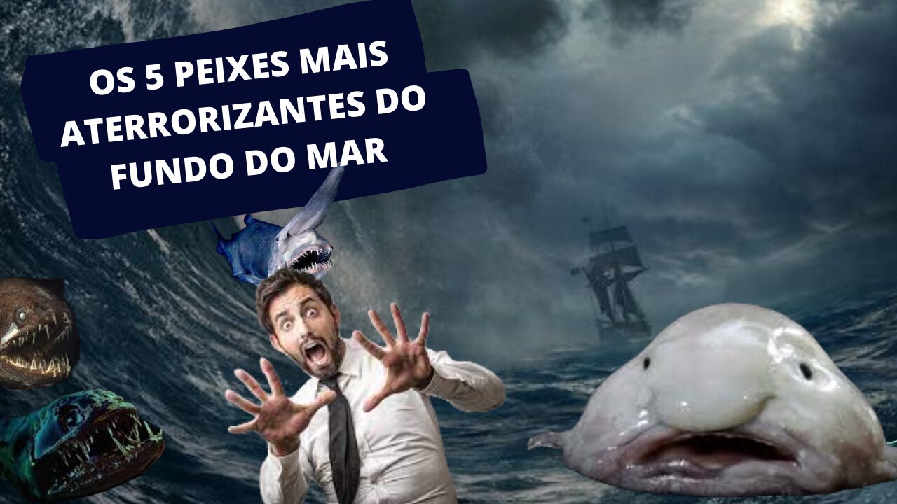 Os 5 Peixes mais Aterrorizantes do fundo do Mar