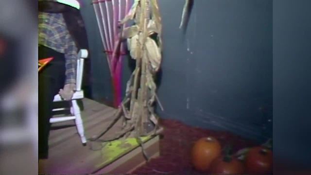 1982 Indianapolis Children's Museum Haunted House