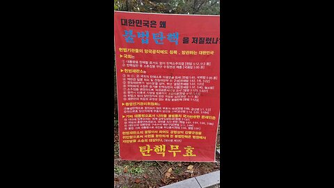 불법 탄핵 진상규명. 231026