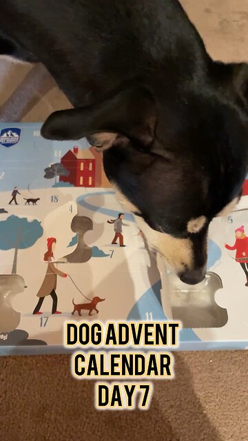 Himalayan Dog Chew 24 Joyful Days Dog Advent Calendar Day 7