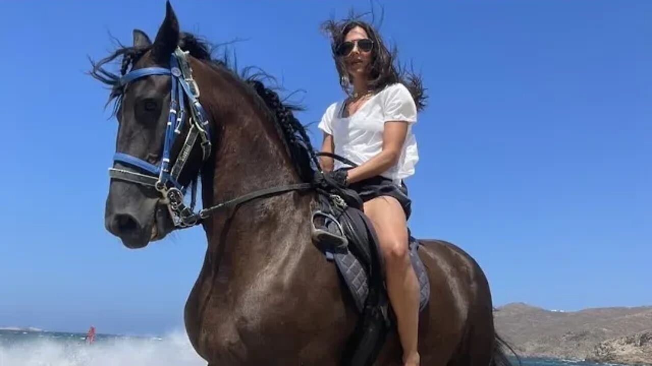 Από τη Παράνοια μέχρι τη Μαρμίτα... μετρώντας άλογα (15 μέχρι 18/05/2022)