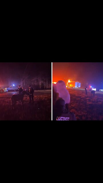Police rescue circus animals from burning trailer