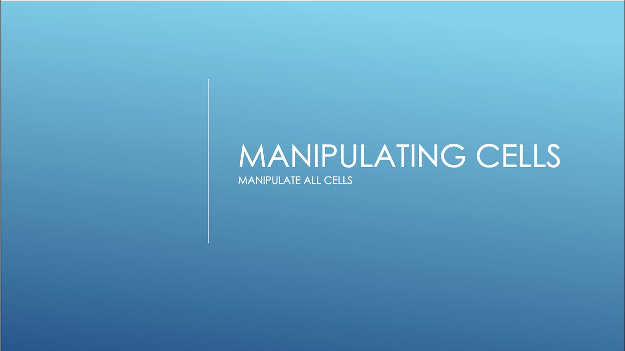 Microsoft Excel - Manipulating Cells pt2