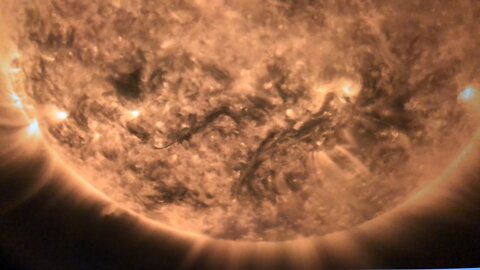 The Dark Plasma Beings on Sun