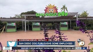 San Diego Zoo furloughs some employees