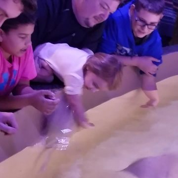 Stingray Jumps Into Little Girl’s Arms