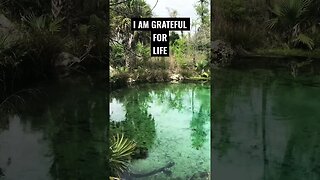 I AM GRATEFUL🙏MOTIVATION #shortsfeed #spiritualawakening #gratitude #goodvibes #motivationalshort