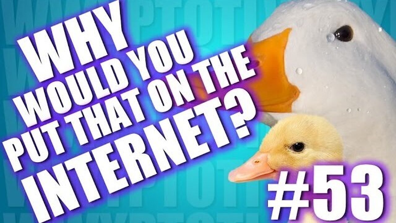 Why Would You Put That on the Internet? #53