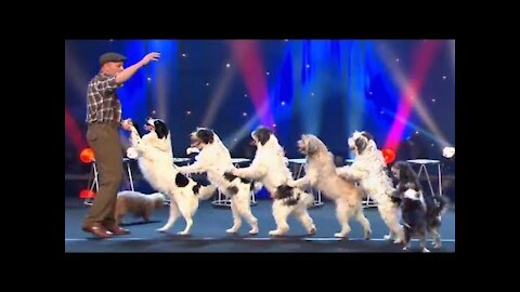 Wolfgang Lauenburger - Dressage de Chiens - Le Plus Grand Cabaret Du Monde