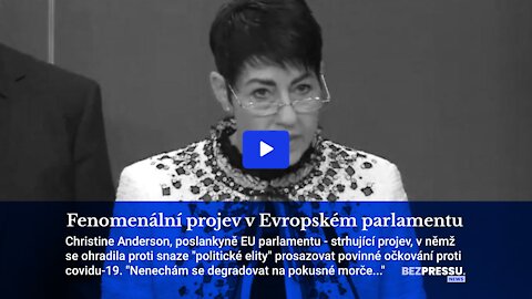 Fenomenální projev v Evropském parlamentu