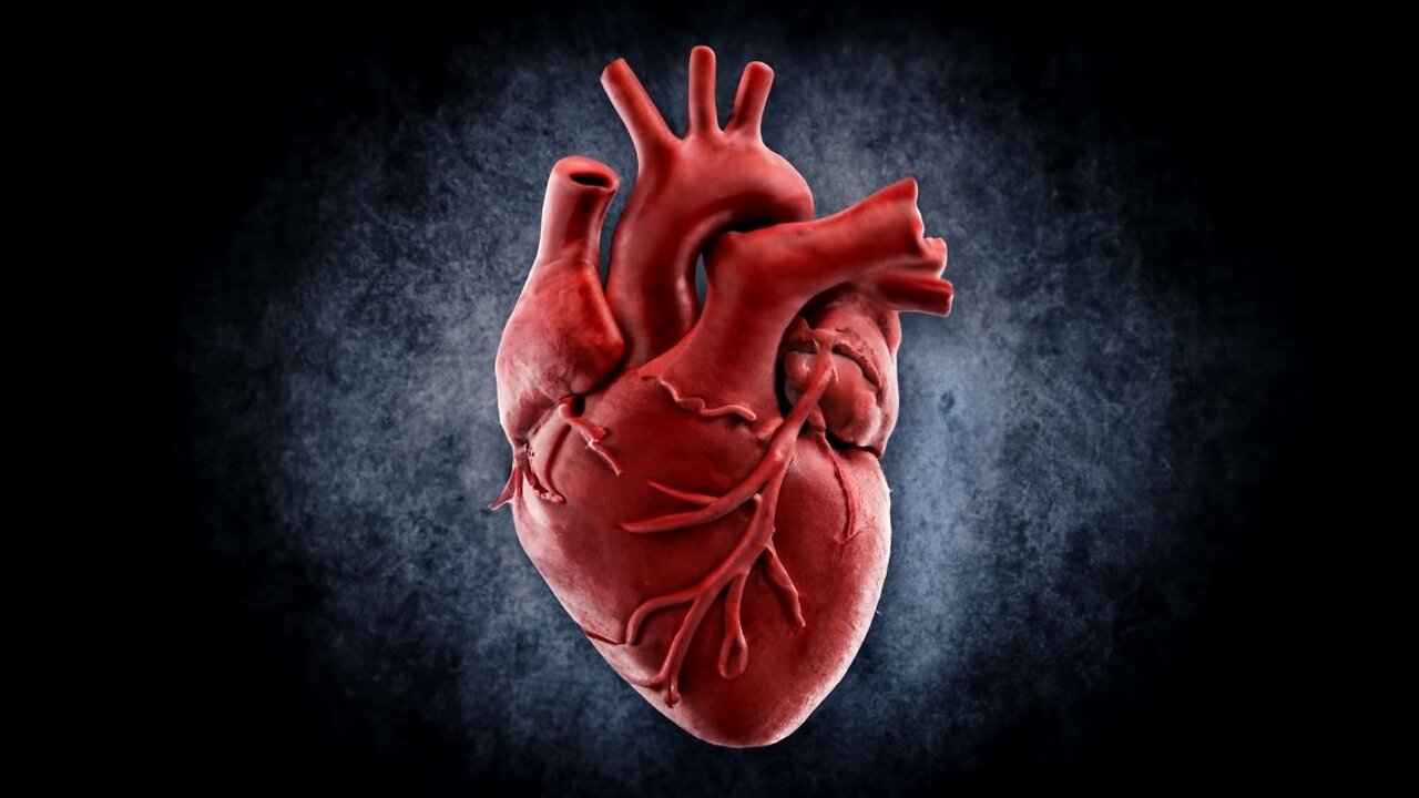 Exploring the Intricacies of Heart Function@laymanlifelines