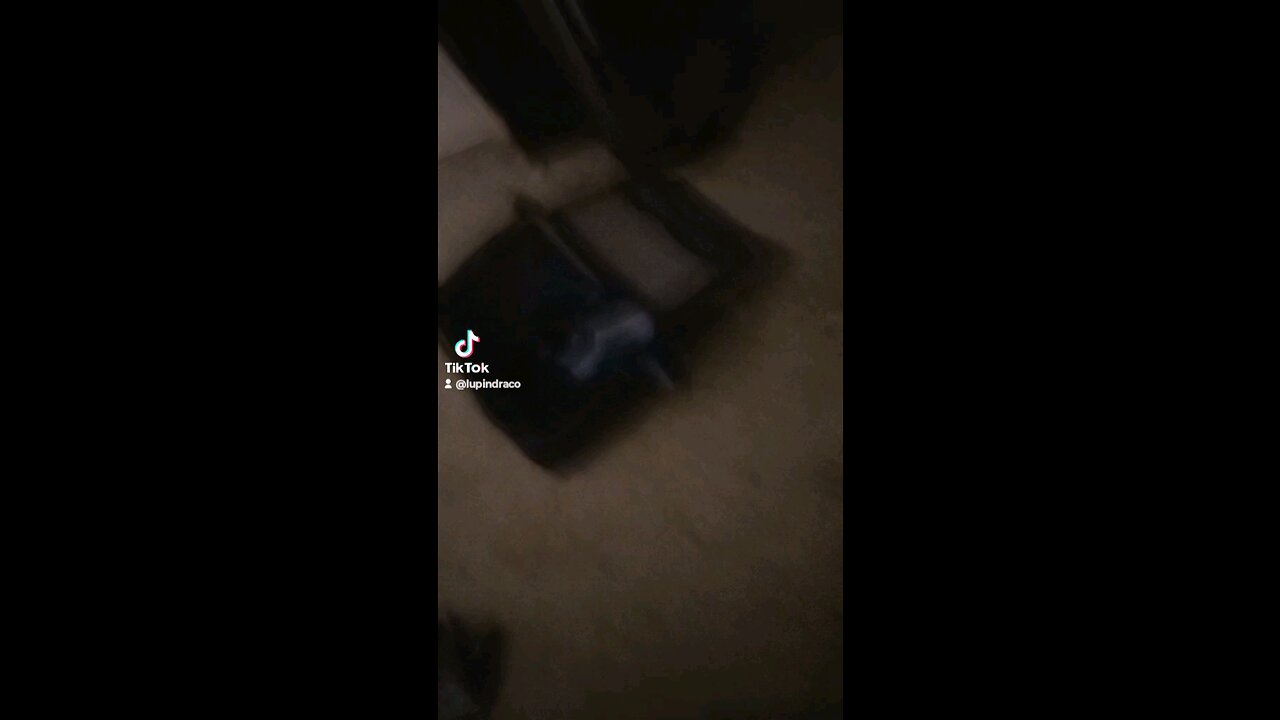 Using the dog vision filter