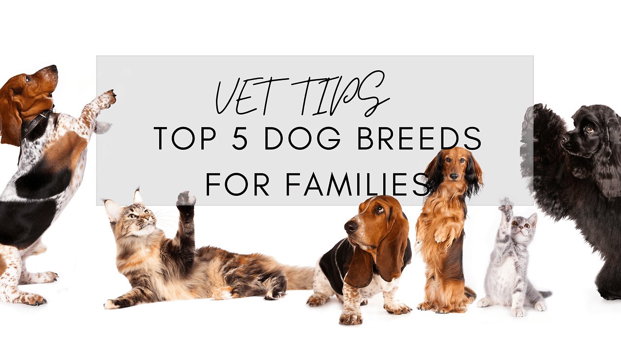 Top 5 Dog Breeds For Families