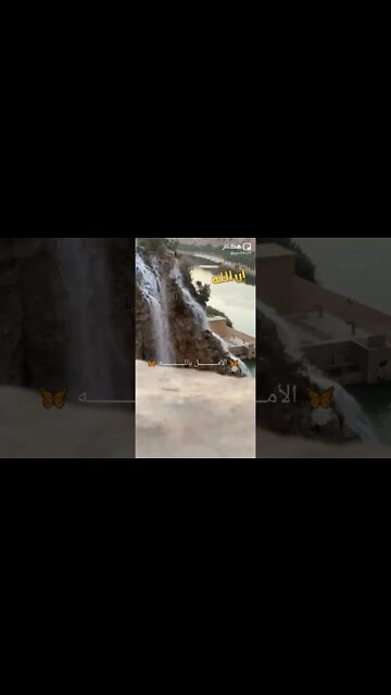 ١١ نوفمبر، ٢٠٢٢