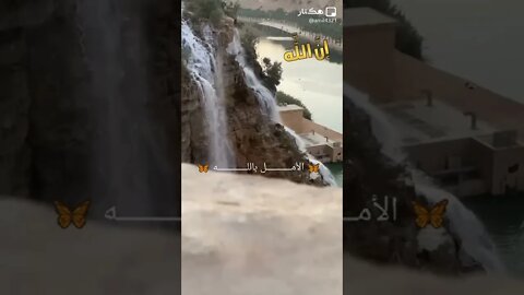 ١١ نوفمبر، ٢٠٢٢