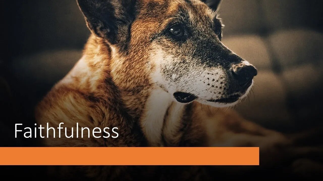 Faithfulness