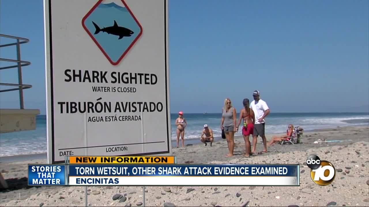 Experts gather evidence to learn more about shark that attacked teen