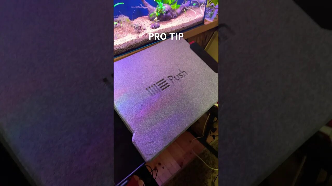 ABLETON PUSH 2 // PRO TIP #1