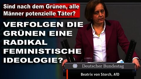 Sind nach dem grünen alle Männer potenzielle Täter? Beatrix von Storch AfD