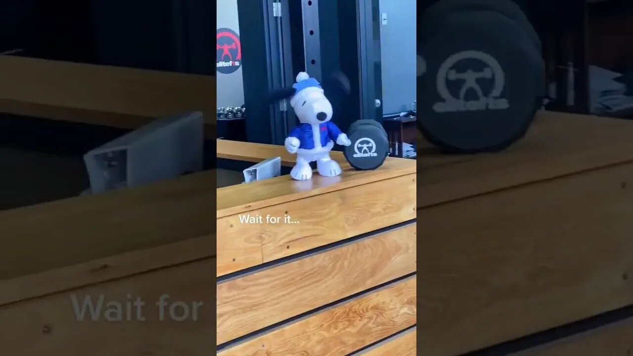 ❌🎄 Dave Tate Gets In The Holiday Spirit ❌🎄